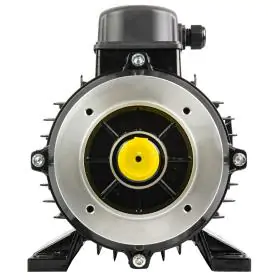 Nicolini Electric Motors