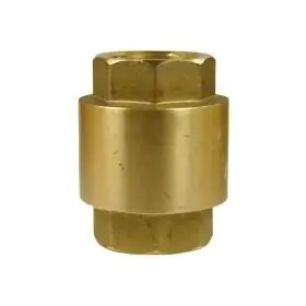 Non Return Valves