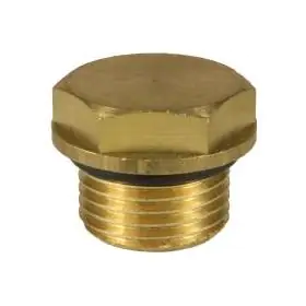 Valve Plugs