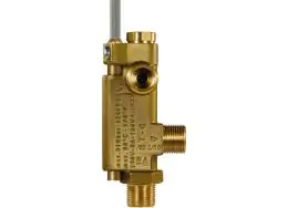 Flow Switches 