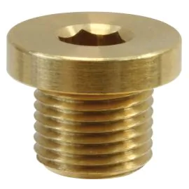 MALE PLUG WITH RIM-1/2"