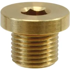 MALE PLUG WITH RIM-1/8"