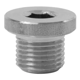PLUG 1/8" WITH RIM SS