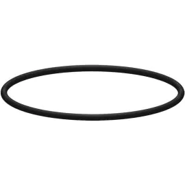 An O-ring for filter housing.