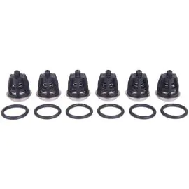 INTERPUMP KIT 1, VALVES (X6)