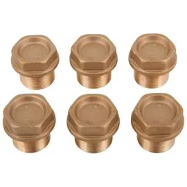 INTERPUMP KIT 124 BRASS VALVE PLUG KIT (6 PIECES)