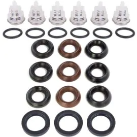 An Interpump series 44 service kit.