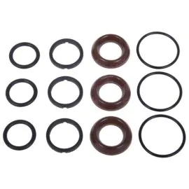 INTERPUMP KIT 97 SEAL KIT (X3)