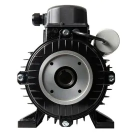 a nicolini electric motor