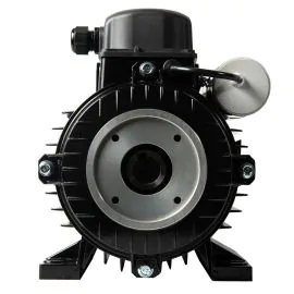 a nicolini electric motor