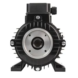 a nicolini electric motor