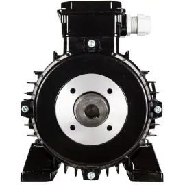 A nicolini electric motor