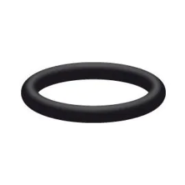 O-RING FOR HIGH PRESSURE ORIFICE PLATE INJECTOR, LARGE