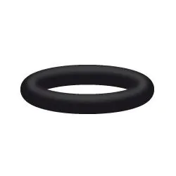 INTERPUMP O-RING 