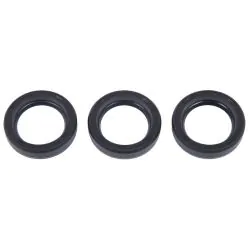 INTERPUMP KIT 83 OIL SEAL KIT (X3)