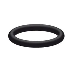 O-RING FOR HIGH PRESSURE ORIFICE PLATE INJECTOR, LARGE