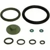 MASTER LINE SPRAYER SEAL KIT VITON - 0