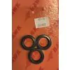 HAWK PISTON OIL SEAL KIT 2608.03 - 0