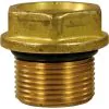 INTERPUMP KIT 124 BRASS VALVE PLUG KIT (6 PIECES) - 0