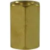 FEMALE TO FEMALE BRASS SOCKET ADAPTOR-1/8"F to 1/8"F - 0