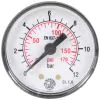 PRESSURE GAUGE 0-12 BAR 1/8"M REAR INLET - 0