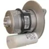 BURNER MOTOR 110V - 0