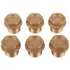 INTERPUMP KIT 124 BRASS VALVE PLUG KIT (6 PIECES) - 2