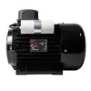 NICOLINI ELECTRIC MOTOR 2.2KW 3HP 230V F100 - 1