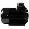 NICOLINI ELECTRIC MOTOR 2.2KW 3HP 230V F100 - 3