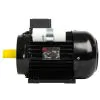 NICOLINI ELECTRIC MOTOR 2.2KW 3HP 230V F100 - 3