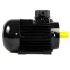 NICOLINI ELECTRIC MOTOR 2.2KW 3HP 230V F100 - 1