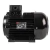 NICOLINI ELECTRIC MOTOR 4.0KW 5.5HP 415V F100 TO SUIT UDOR MC SERIES & INTERPUMP SERIES - 0