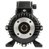 NICOLINI ELECTRIC MOTOR 4KW 5.5HP 415V F100  - 4