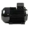 NICOLINI ELECTRIC MOTOR 4KW 5.5HP 415V F100  - 0