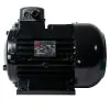 NICOLINI ELECTRIC MOTOR 5.5KW 7.5HP 415V F112 - 4