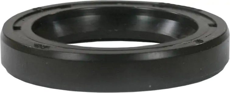 Annovi Reverberi Seal Kit
